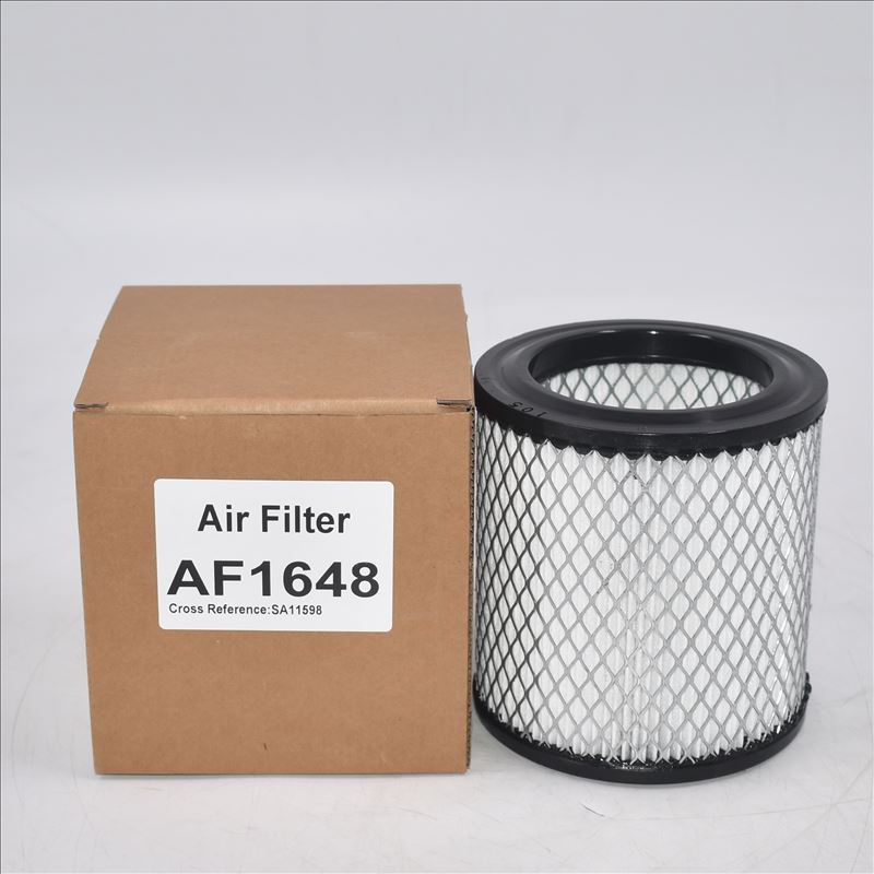 Air Filter AF1648 A0000942804 AM31000