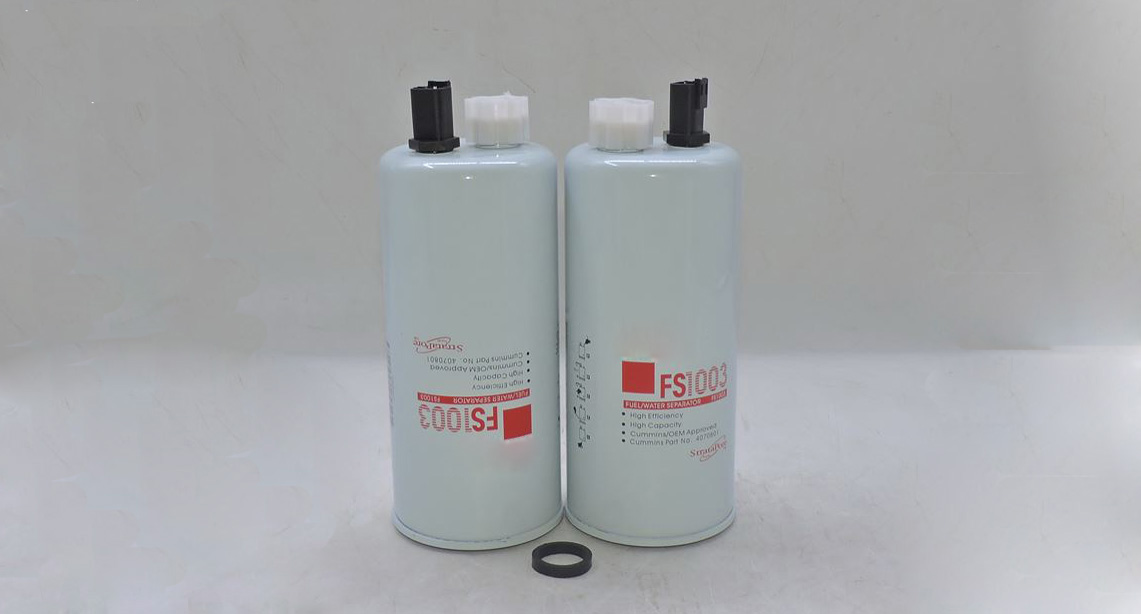 Fuel Filter FS1003
