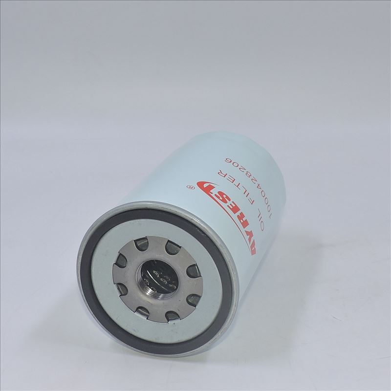 Oil Filter 1000428206 R010077