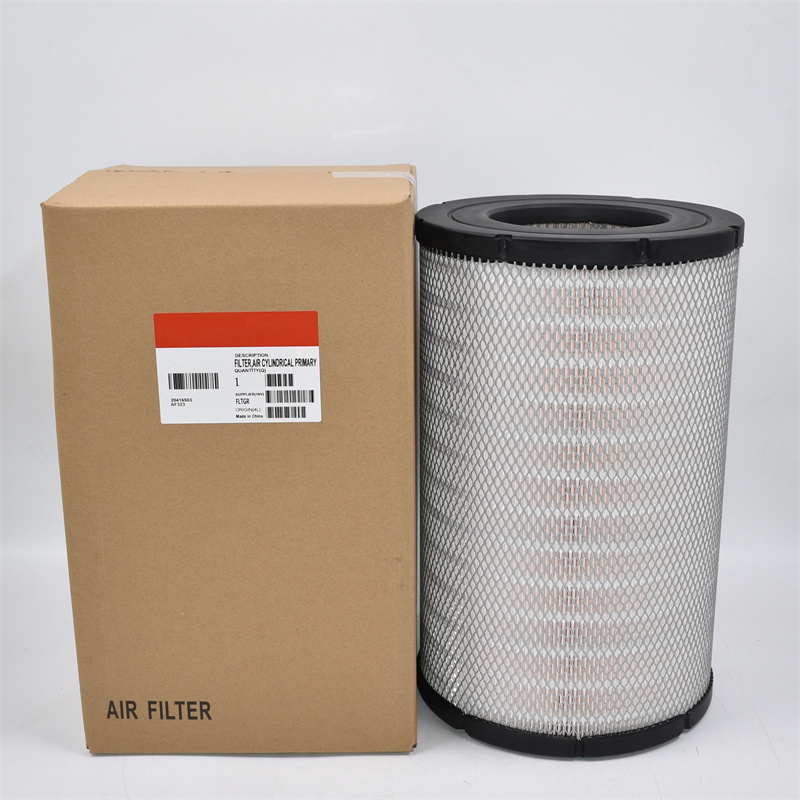 P619046 Air Filter RS30130