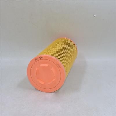 Air Filter 01319257 1319257 P778989 SA 17100 46836