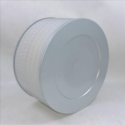 Air Filter P181126 A-5531 PA2653 AF4609