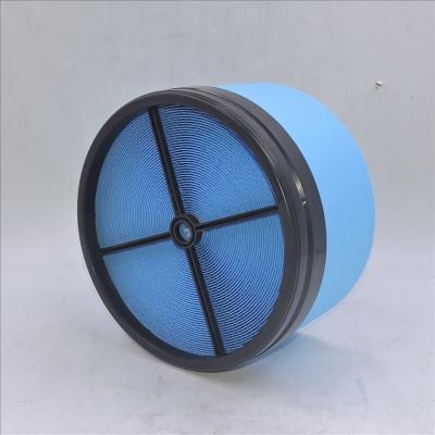 Air Filter P040365