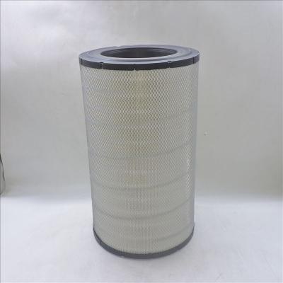 Air Filter P781098