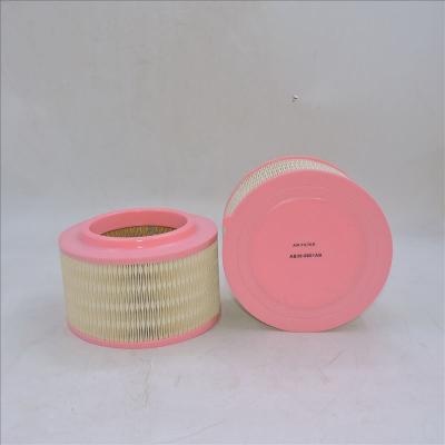 Air Filter AB39-9601AB P506075 WA9763 E1205L