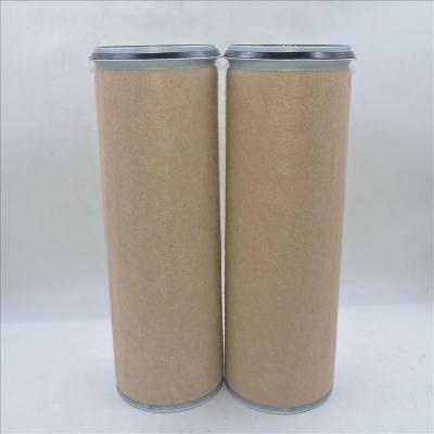 Air Filter 22100911