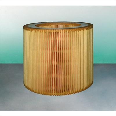 Air Filter C1140