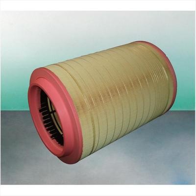 Air Filter C321420/2 SA17323 P785352 AF26241