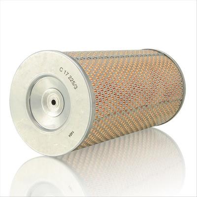 Air Filter C17225/3 SA14008 P181088 6644839