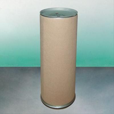 Air Filter CF2100