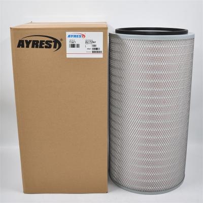 Air Filter AF25062