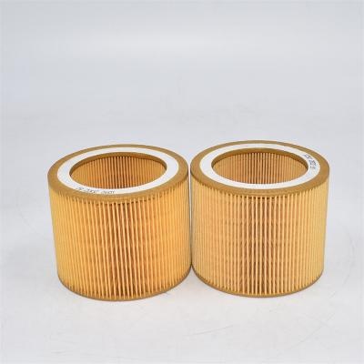 Air Filter 1092200281