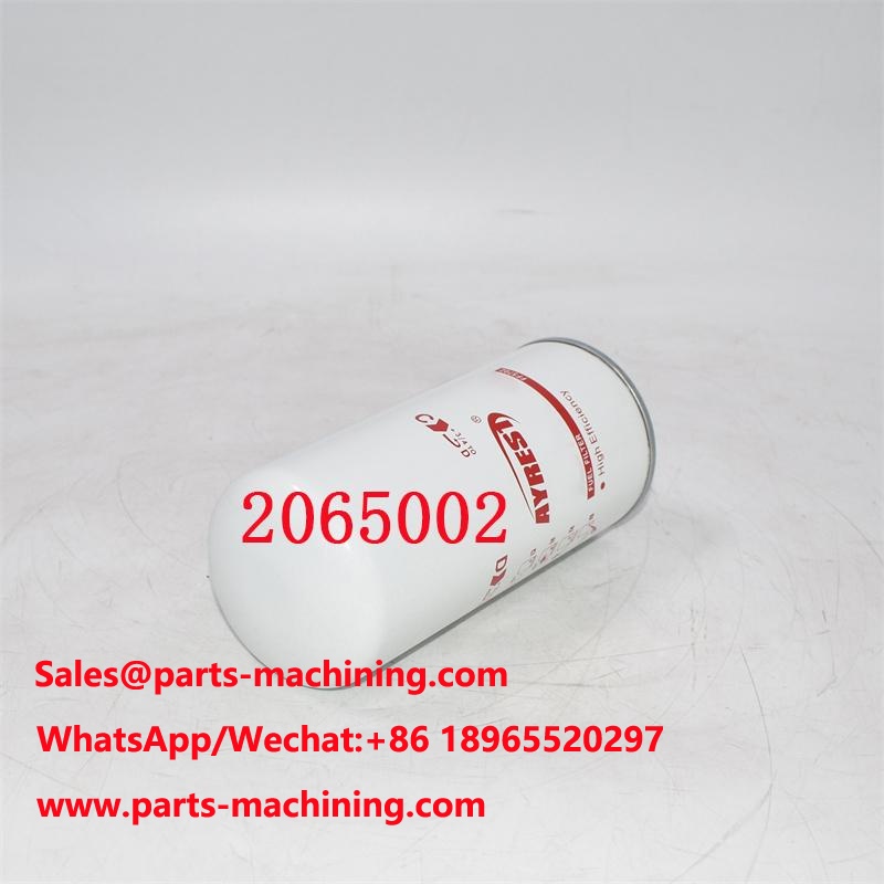 2065002 Fuel Filter 2002041593 Replacement