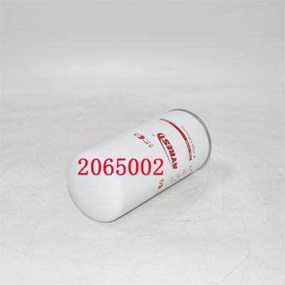 2065002 Fuel Filter 2002041593 Replacement