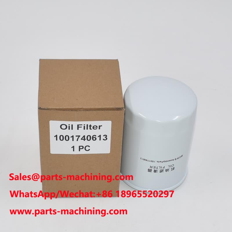 Oil Filter 1001740613